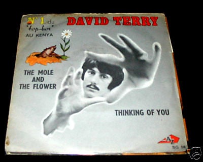 David Terry Mole& Flower 68 UK LSD Psych Barret 45 PS