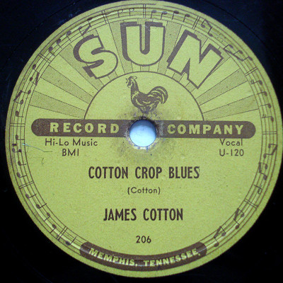 BLUES 78-JAMES COTTON-COTTON CROP BLUES /HOLD ME IN YOU
