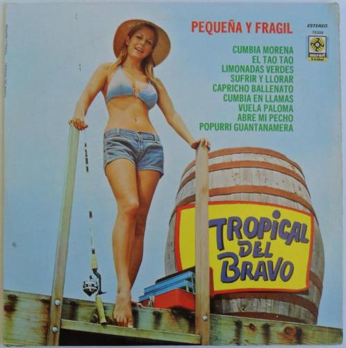  - Tropical Del Bravo - Pequeña Y Fragil LP Latin Cumbia Morena  Tejano Tex-Mex HEAR - auction details