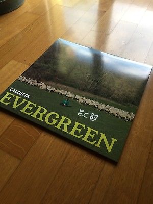  vinile calcutta autografato verde evergreen lp - auction  details