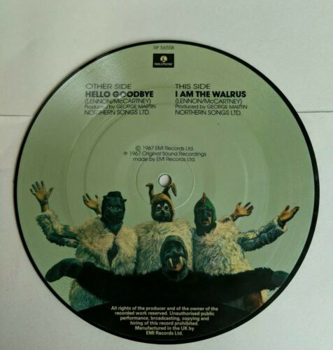 The Beatles 7" Vinyl Single Picture Disc I Am  A Walrus / Hello Goodbye