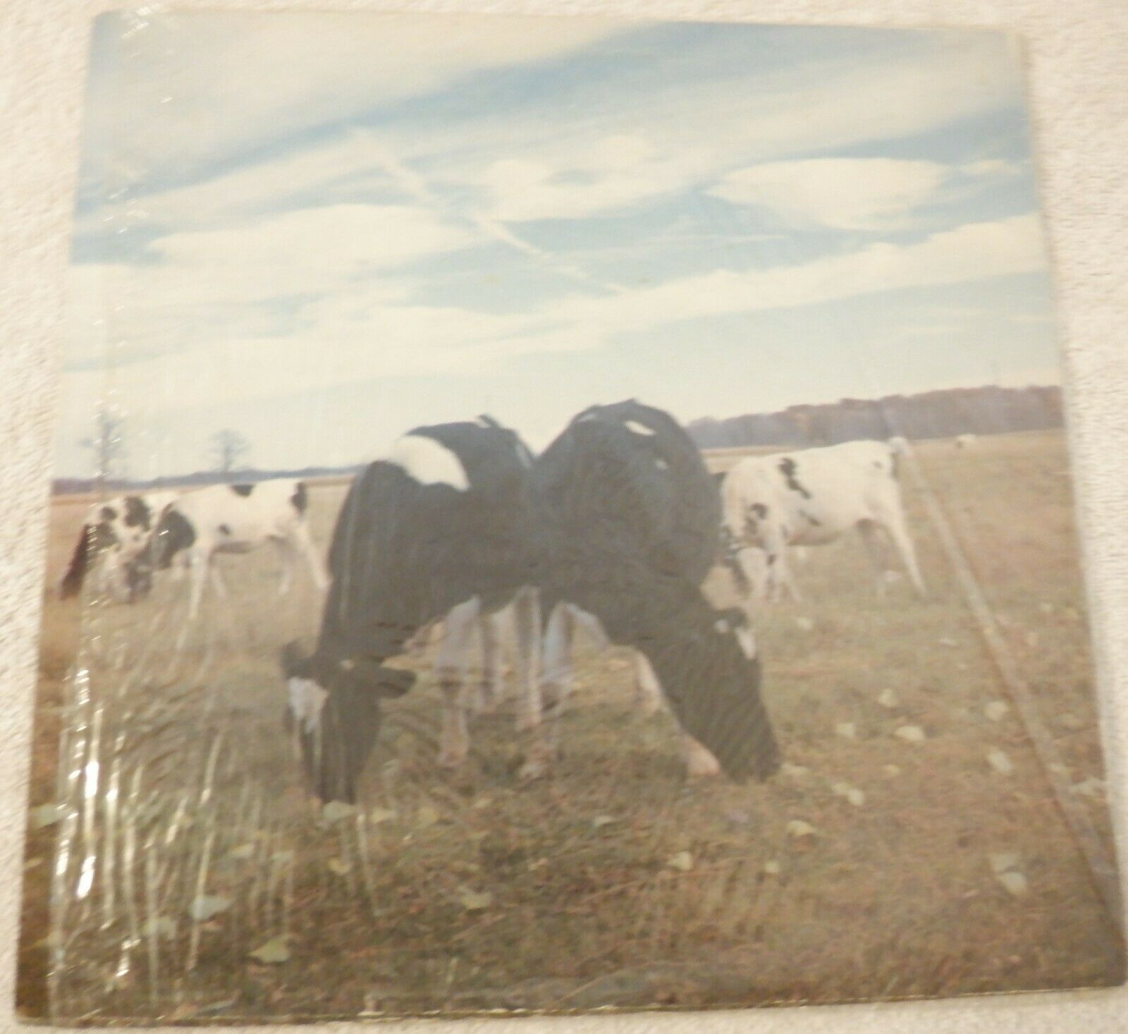 Pic 1 The Dark Side Of The Moo; Pink Floyd 1986 Vinyl Trixie Records; Screaming Abdabs